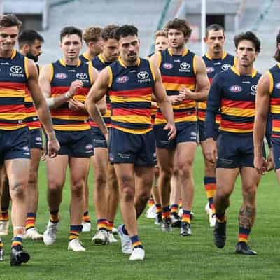 Adelaide brace for litmus test against Essendon: Nicks