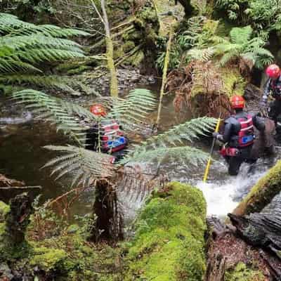 Search for Belgian bushwalker in Tasmania suspended