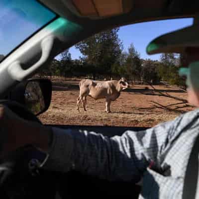 Farmers urged to always 'stay on the safe side' of life