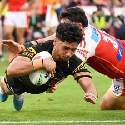 Panthers stay top of table with tough win over Dolphins