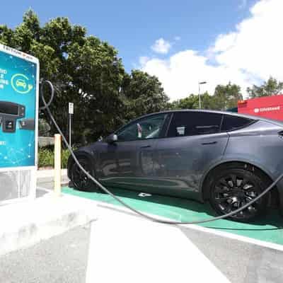 Electric vehicle demand revs up as companies eye future