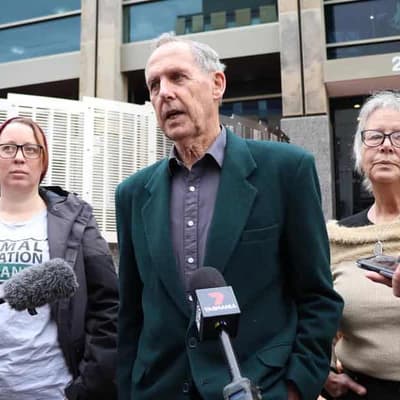 Bob Brown to fight anti-logging protest criminal charge