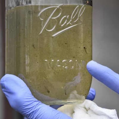 Water quality experiment offers murky evidence