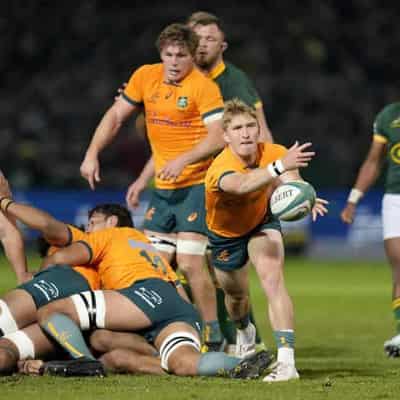 McDermott eyes start as Wallabies seek fast improvement