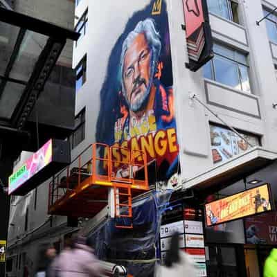 City mural aims to paint a picture of Assange's plight