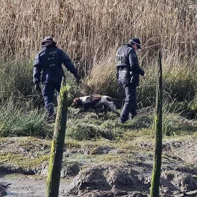 Remains found in search for missing teenager