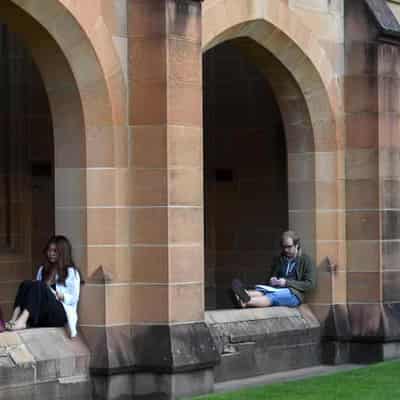 Universities grilled on canned sexual consent campaign