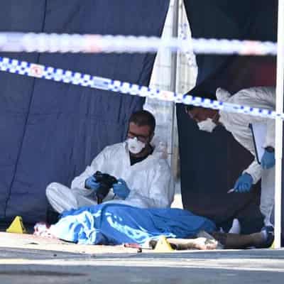 Elite task force formed to tackle Sydney underworld war