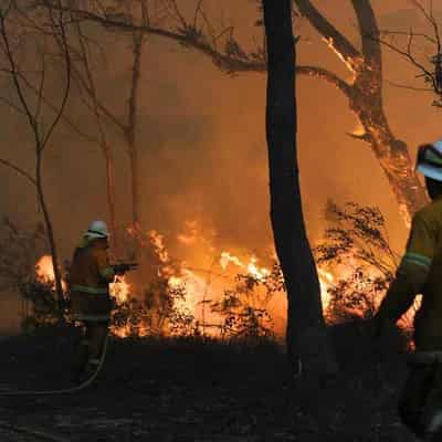 Climate index hints at higher destructive bushfire risk