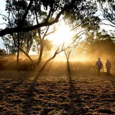 Living and learning on the land a lot for bush families