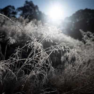 Aussie winter on track to be among hottest on record