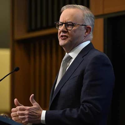 Albanese didn’t say voice opponents are 'racist'