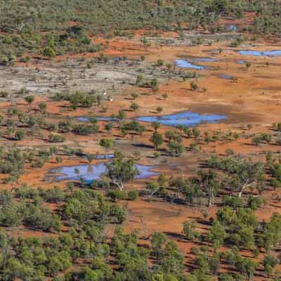 Outback station to become protected bird haven