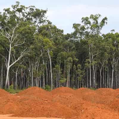 Land-clearing slows but Great Barrier Reef fears remain