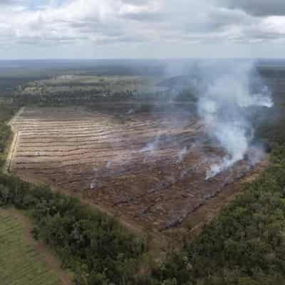 Land equal to 350 CBDs cleared in NSW each year