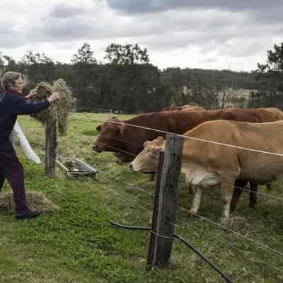 'Fierce' farmer and environmentalist Wendy Bowman dies