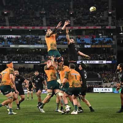 Bookies give Wallabies next to no hope of beating ABs