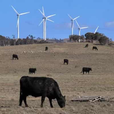 Manufacturing Australia's answer to the climate crisis