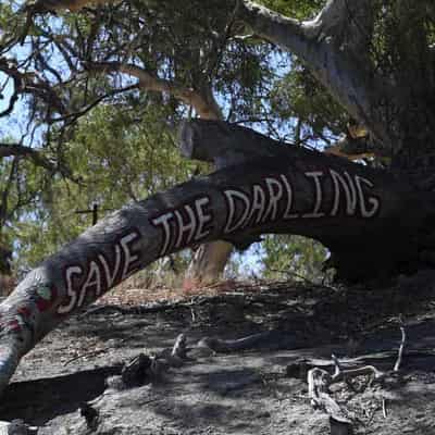 Victoria accused of sabotaging Murray-Darling plan