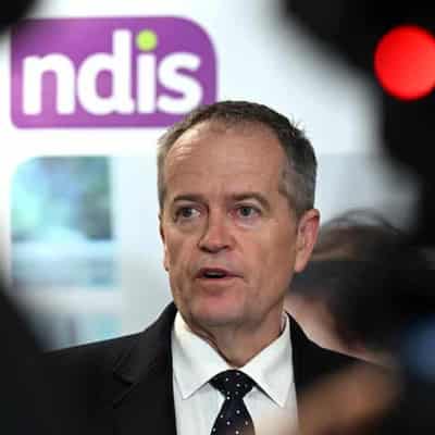 Fraud squad tackles NDIS rorts as payments skyrocket