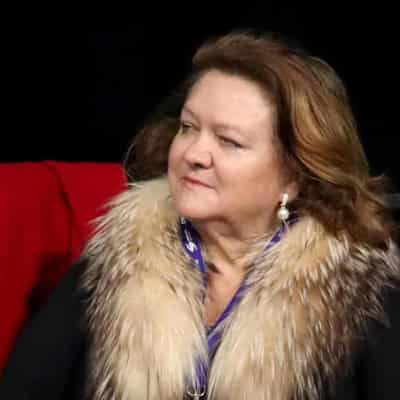 Gina Rinehart's son's fight for mining riches revealed