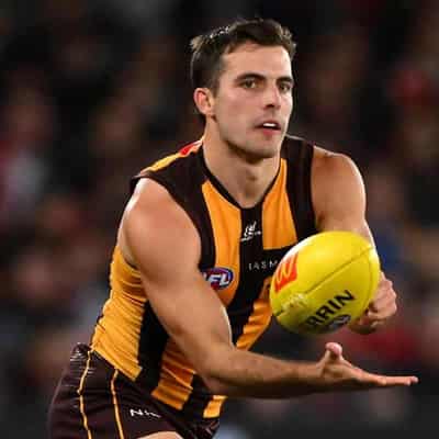 No secret in Hawks' plan to stop Nick Daicos