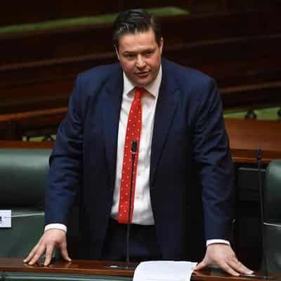 Labor MP plans to stay in parliament after allegation