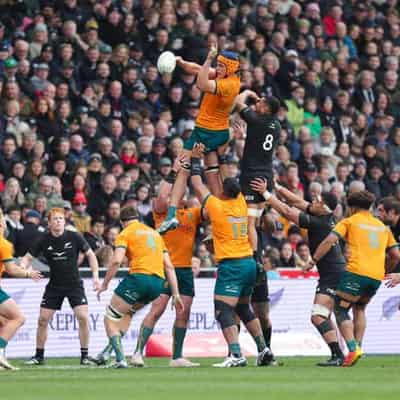 Wallabies can be Rugby World Cup contenders: Mortlock