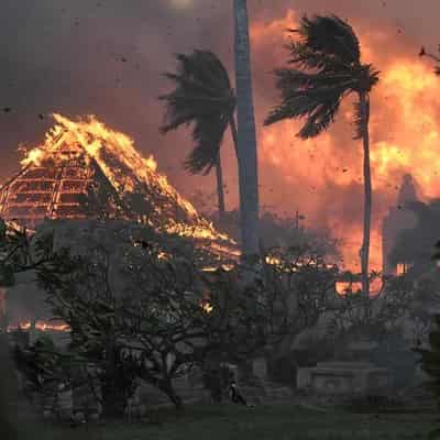 Fires kill 36 as 'apocalypse' strikes Hawaii paradise