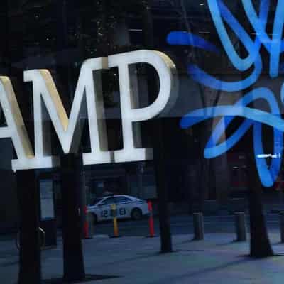 AMP pauses capital return program after court loss