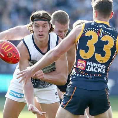 Injury-hit Cats turn to unheralded forward Neale