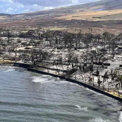 Warnings questioned as Hawaii fire death toll hits 80