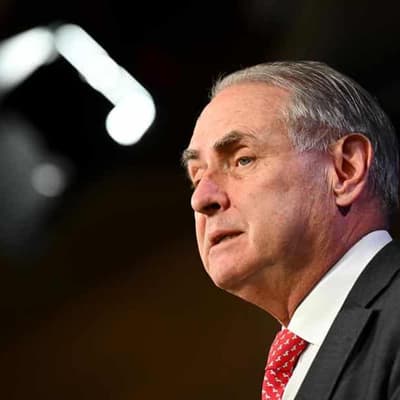 Senator says Labor stoush avoided after Israel change