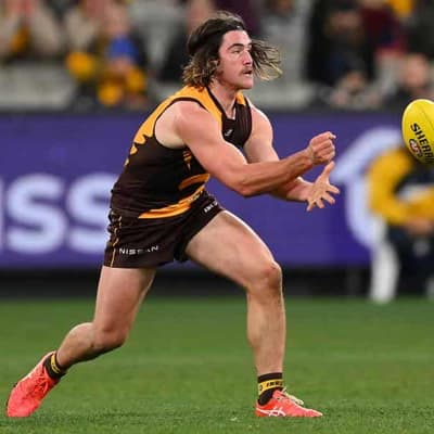 Hawthorn stun Western Bulldogs for another AFL upset