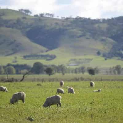 Farmers on front line of battle against invasive deer