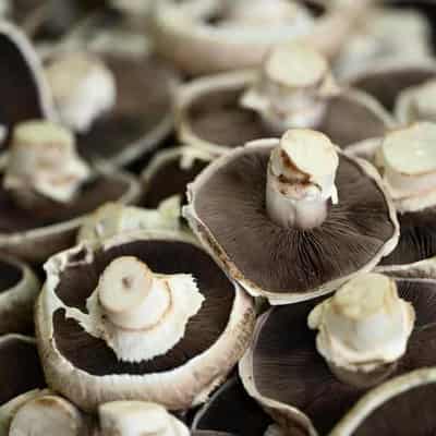 Commercial mushroom growers reassure shoppers on safety