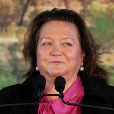 Alleged Rinehart plan to boost wealth at kids' expense