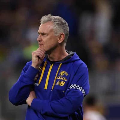 I'm on good terms with 'alpha male' Nisbett: Simpson