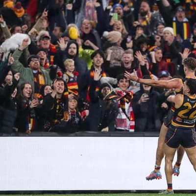 Crows must move on after umpire flashpoint: Nicks