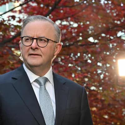 Videos concoct PM's silence on key voice question