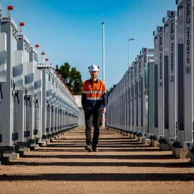 AGL Energy owns goals with Adelaide Oval-sized battery