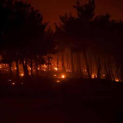 Eighteen burned bodies found as Greece fires rage