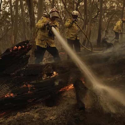 Australia's big wet fuels bushfire risks this spring