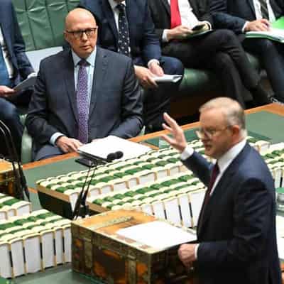 Ticked-off Dutton seeks referendum vote method clarity