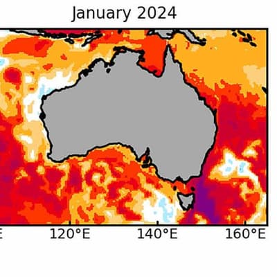 Off-the-scale marine heatwave forecast for south east