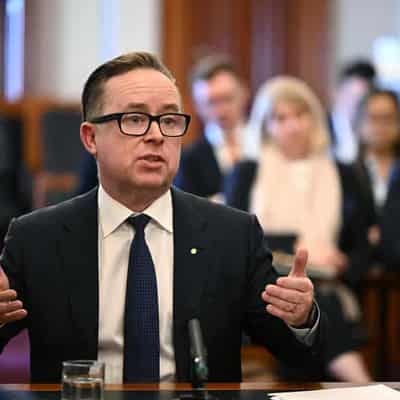 Qantas boss defends profit as senators press on prices