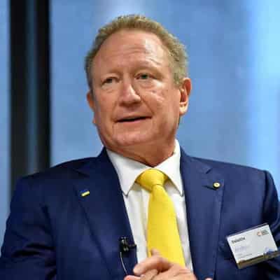 Latest Fortescue CEO backs 'crazy vision', dividend cut