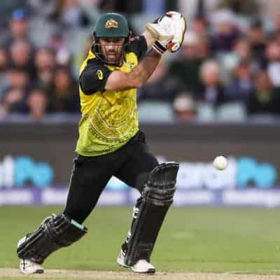 Wade answers SOS after Glenn Maxwell cut down by injury