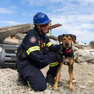 K9 rescue squad a bunch of very good boys and girls