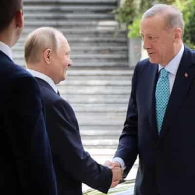 Putin tells Erdogan: we're ready to discuss grain